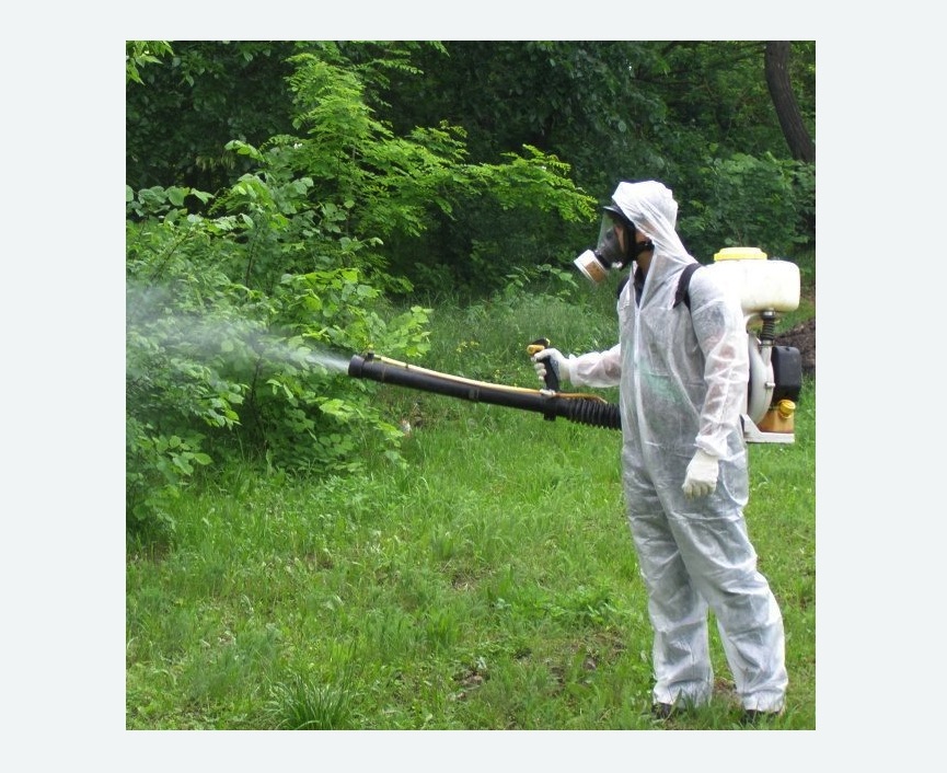 обработка дачи от клещей обработка территории от клещей в Сальске