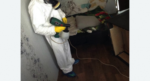 Обработка квартир от насекомых в Сальске