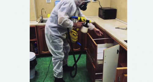 Дезинсекция квартиры. Сальск