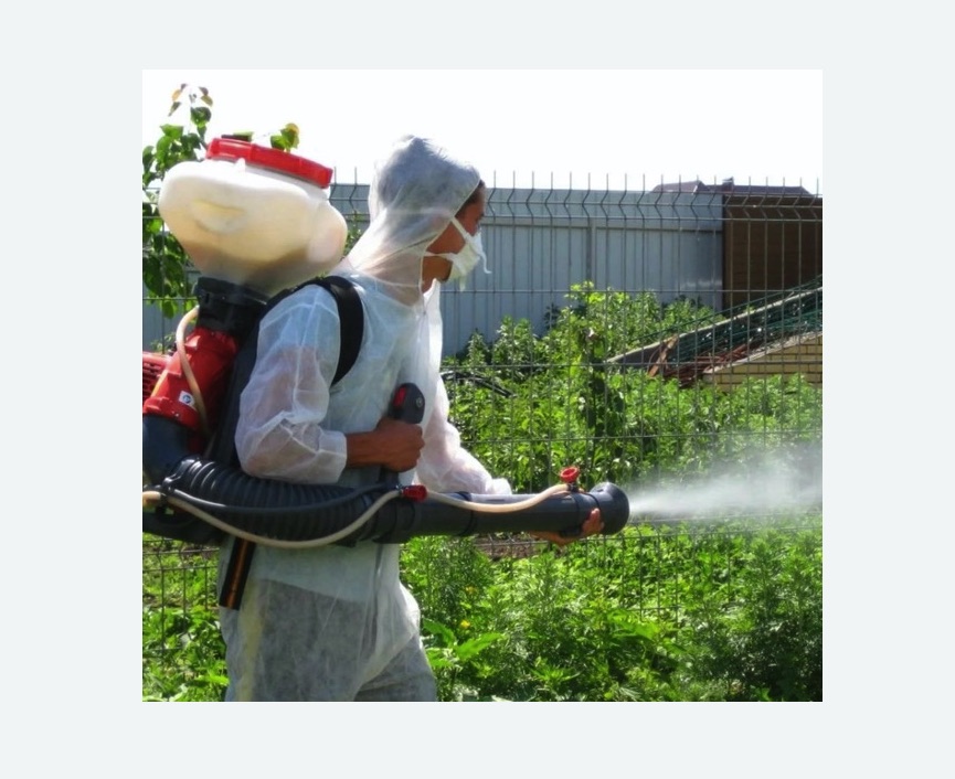 Акарицидная обработка территории в Сальске