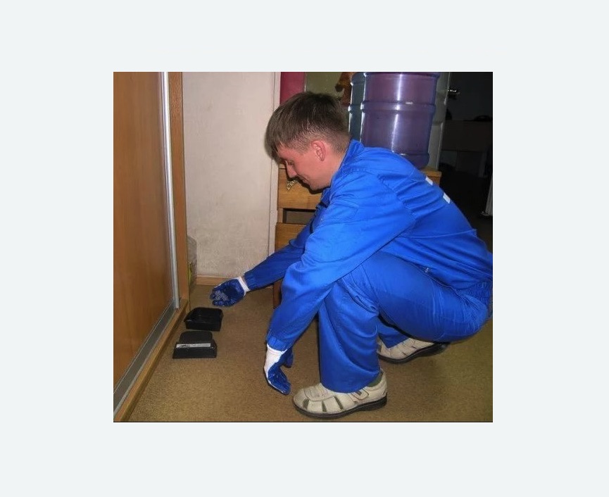 Дератизация крыс в Сальске