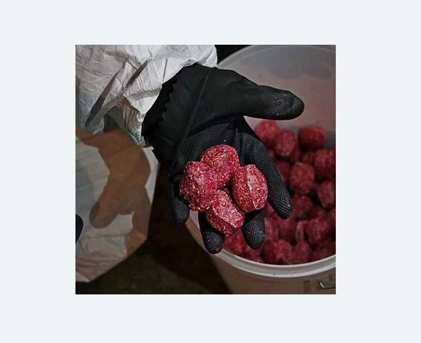 Обработка от крыс в Сальске