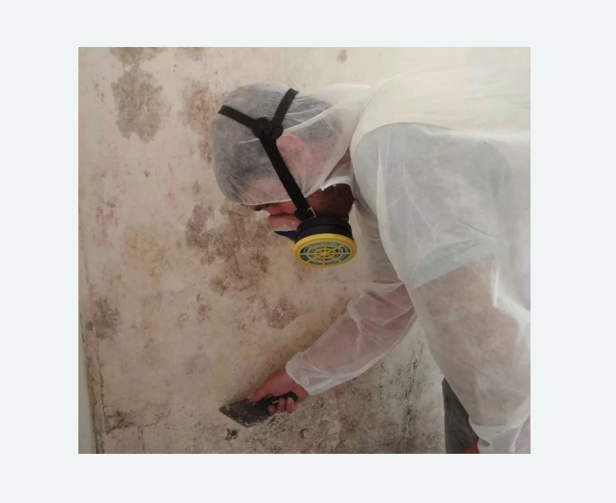 Обработка стен от плесени Обработка стен от плесени в Сальске