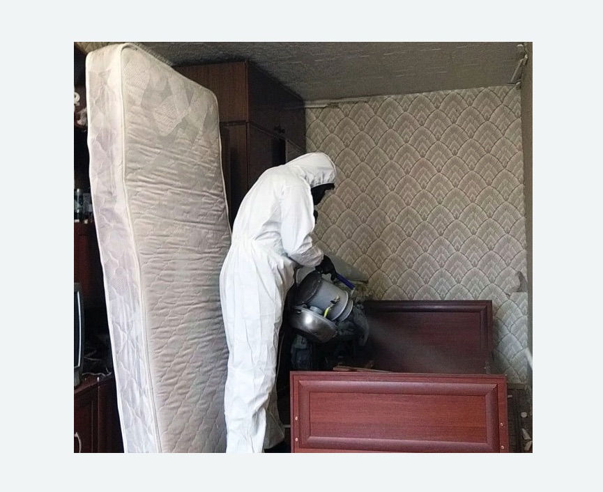 дезинфекция от клопов в Сальске