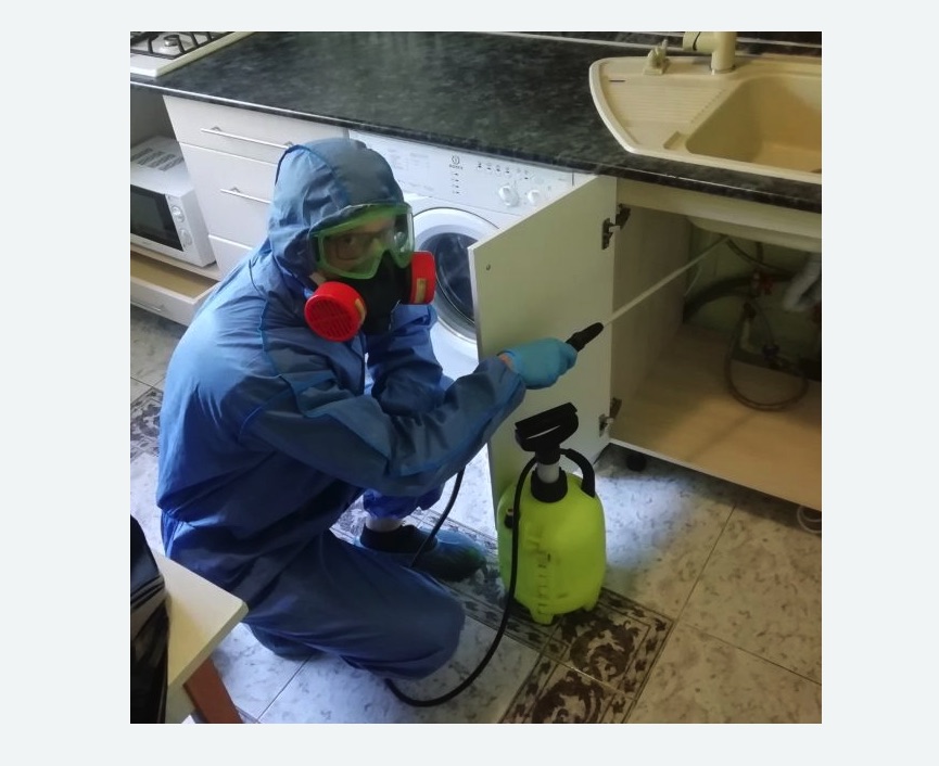 обработка от муравьев в квартире в Сальске