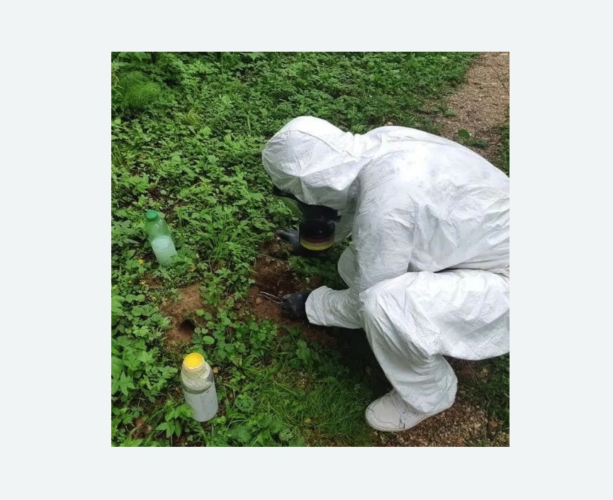 уничтожение кротов на участке в Сальске