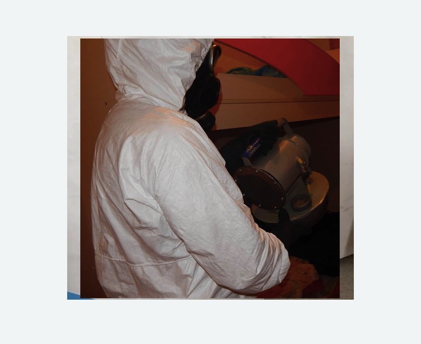 Дезинфекция от муравьев в Сальске