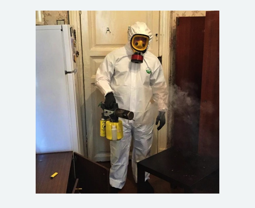 уничтожение муравьев в квартире в Сальске